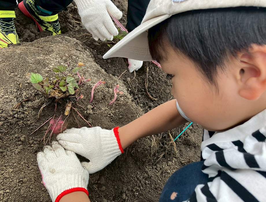 放課後等デイサービスひまわり